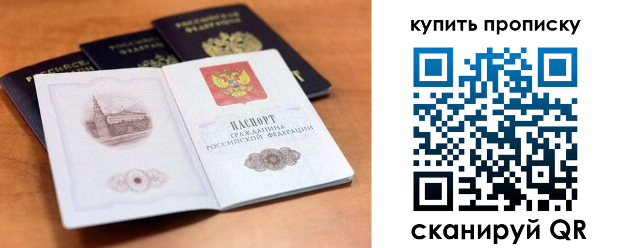 прописка для школы в Елизово
